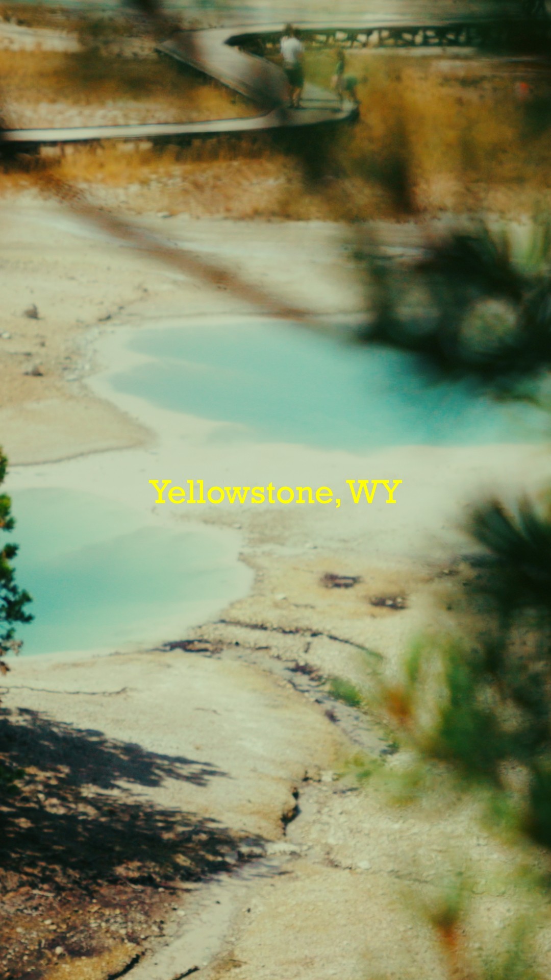 Yellowstone Video