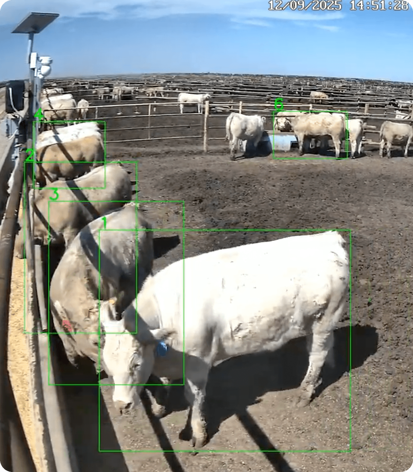 Woman showing her face in the sun