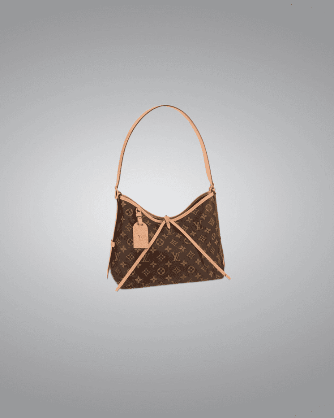 LV Carryall PM Bag in Monogram Canvas