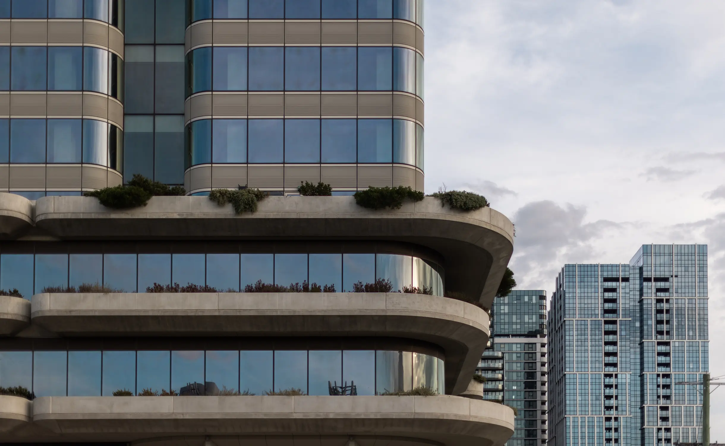 Sculptural Serenity