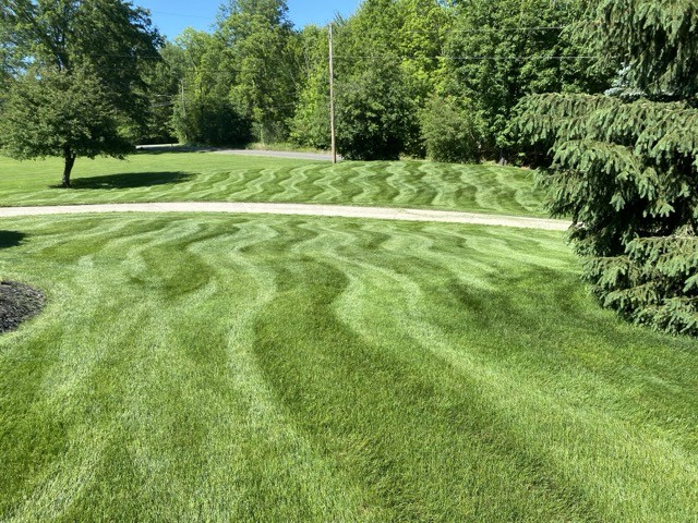 A freshly mowed lawn with a wavy pattern