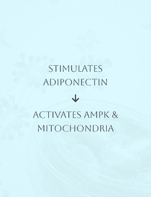 a white chair and a white table