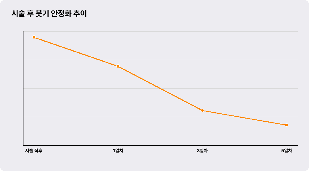 시술 후 붓기 안정화 추이
