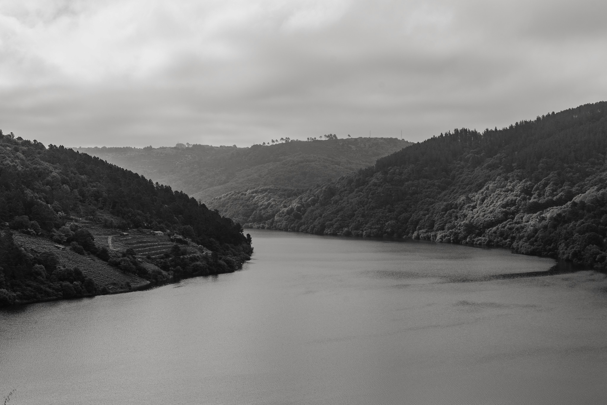 Raizames | Festival cultural | Sesión fotografía Lorena Grandío