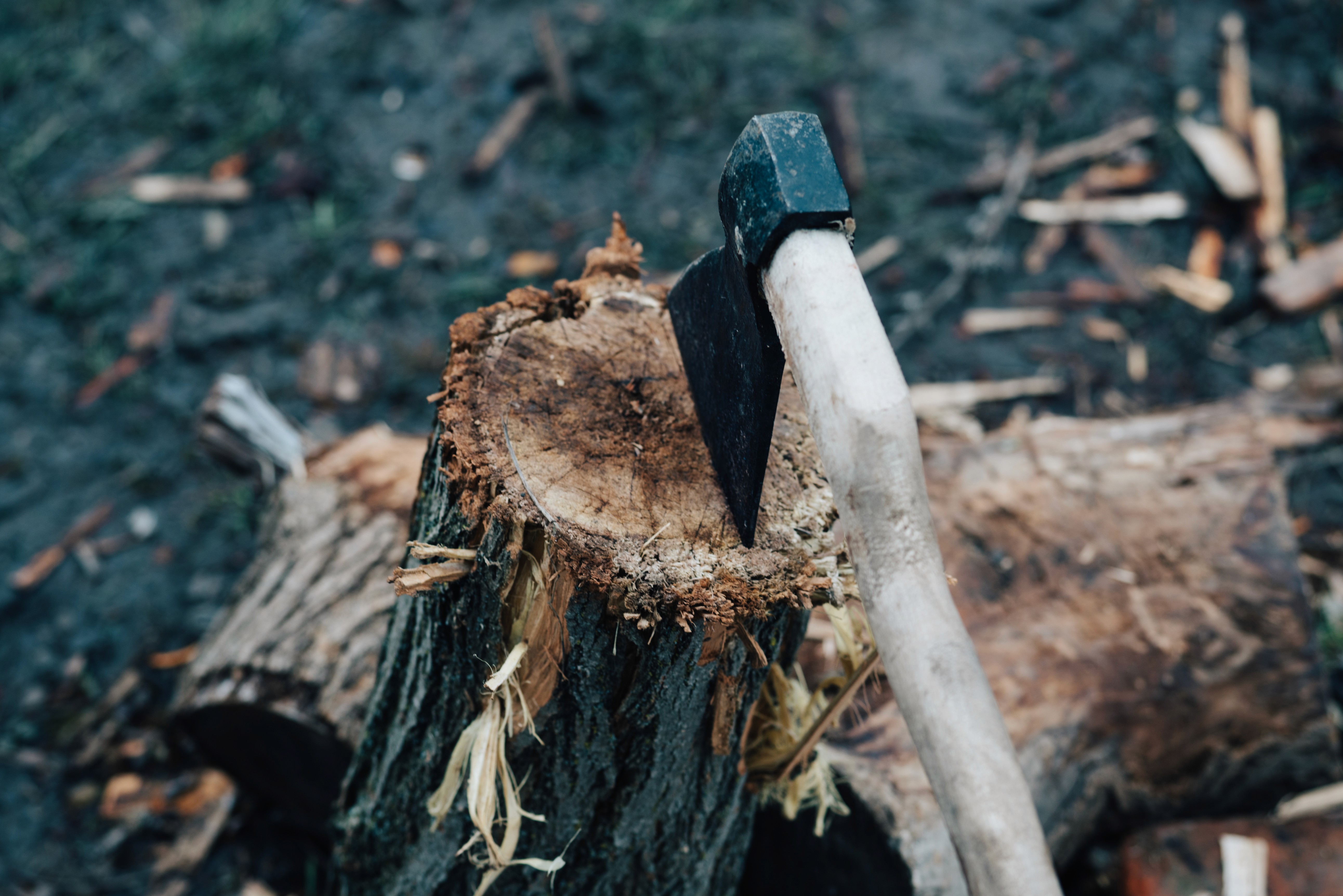 axe in stump