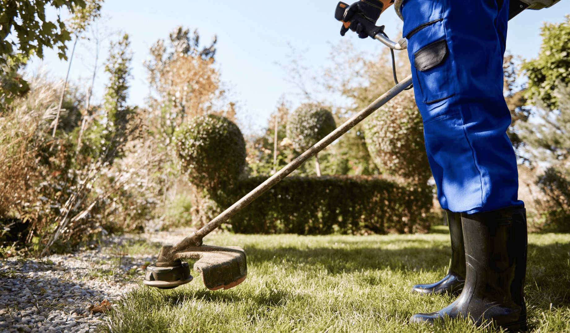 Image representing the service