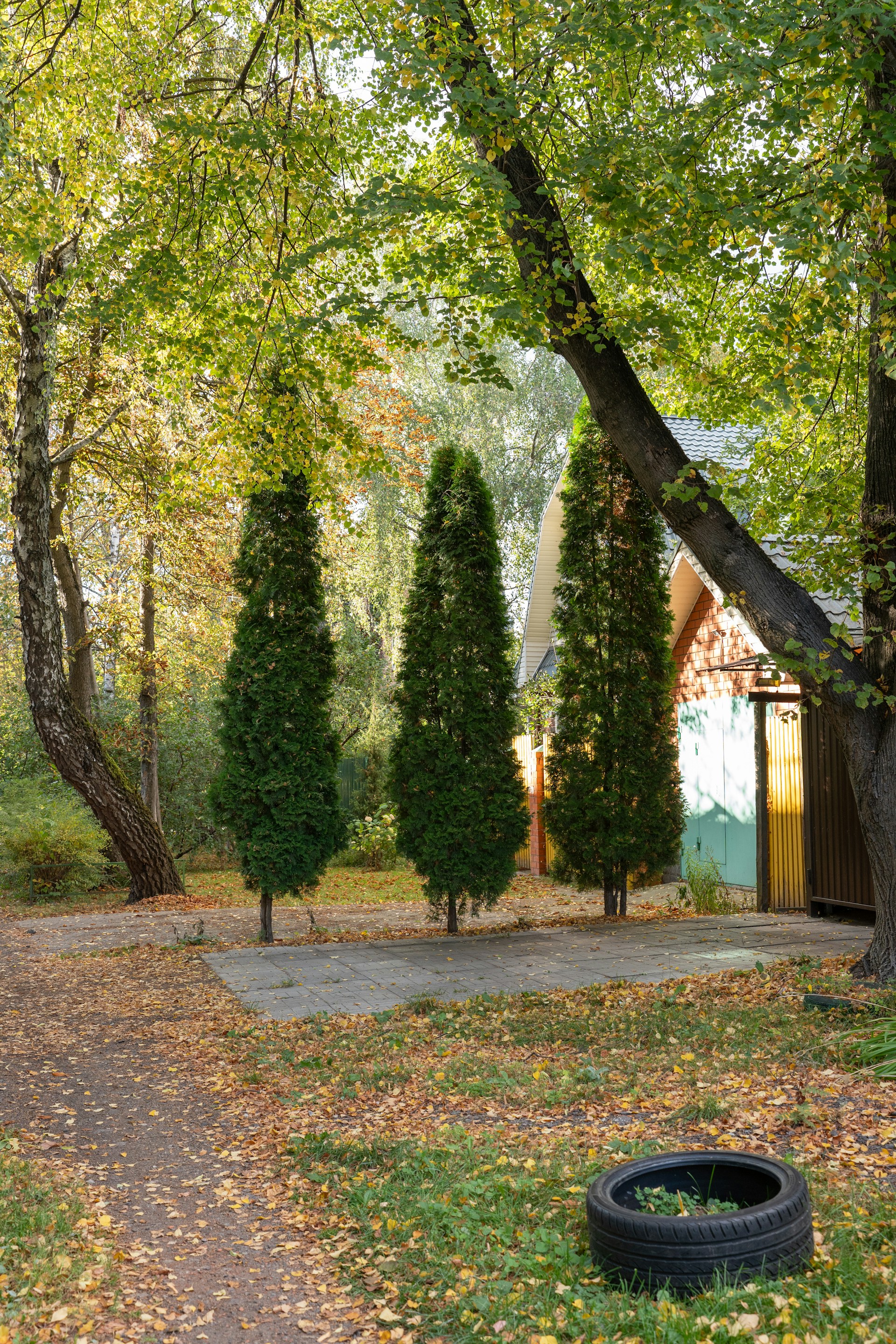 Sentier de jardin bordé d’arbres et de buissons dans un parc à l’automne.