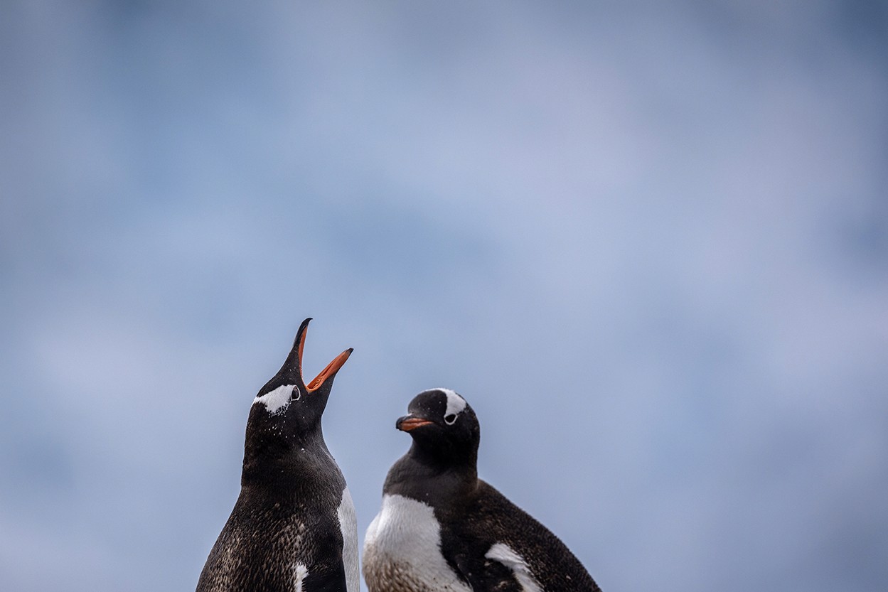 Boban Simonovski Unsplash