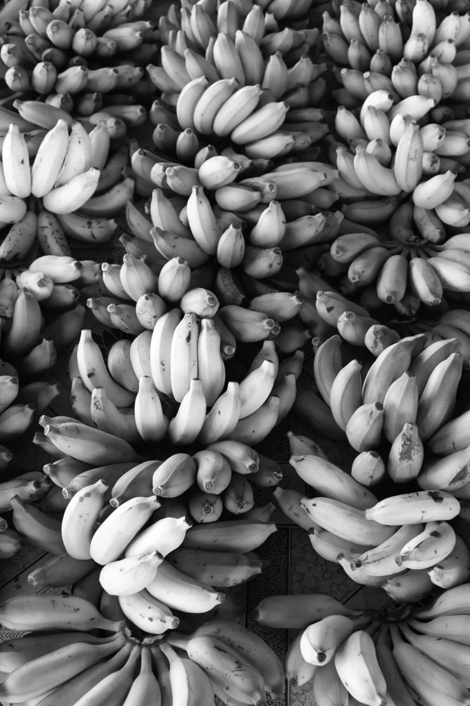 Fresh bananas at a local fruit market in Samoa, tropical South Pacific island produce
