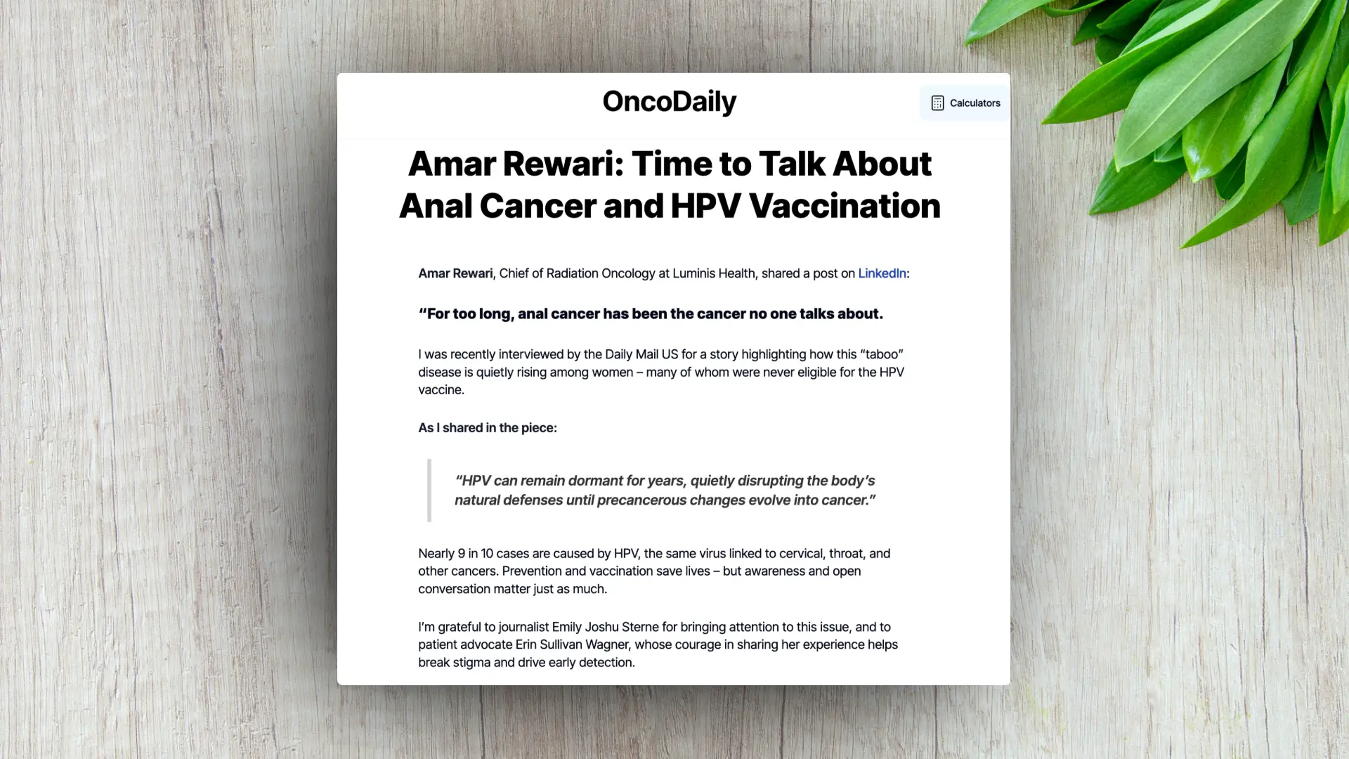 website template image