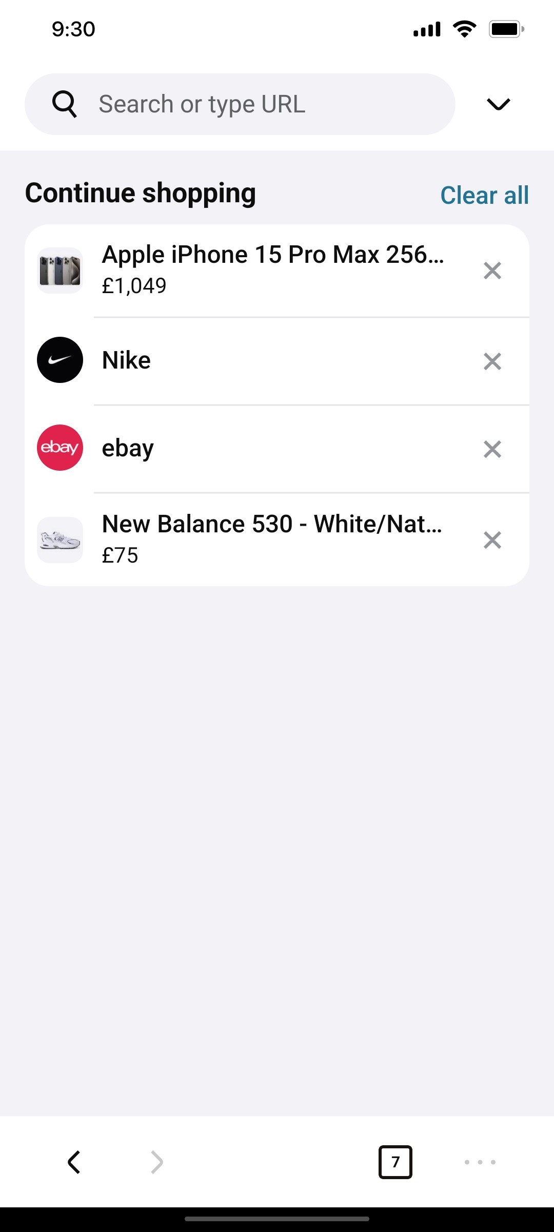 Klarna Continue Shoping Screen