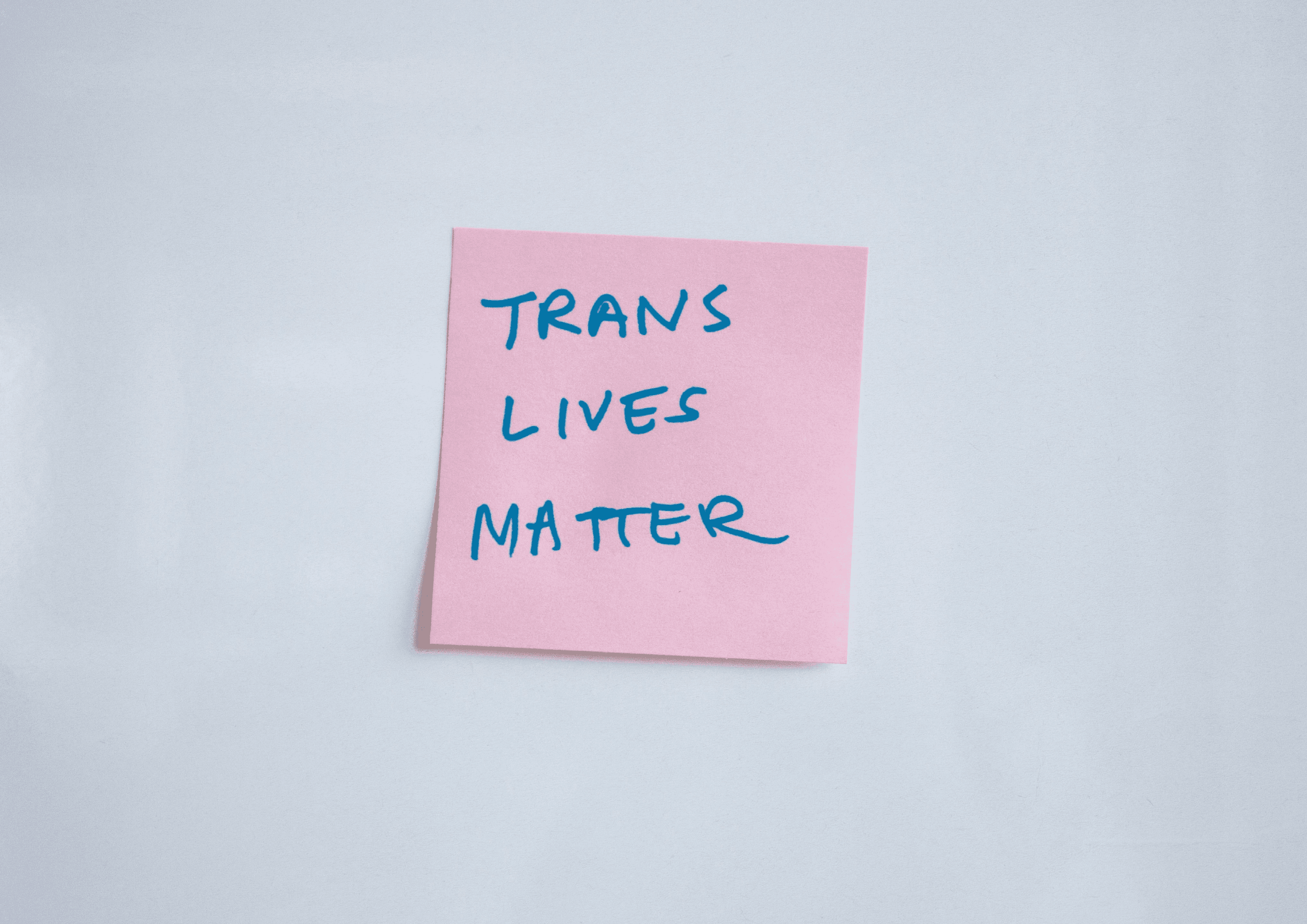 Transgender Day of Visibility sticker that says 'Trans Lives Matter"