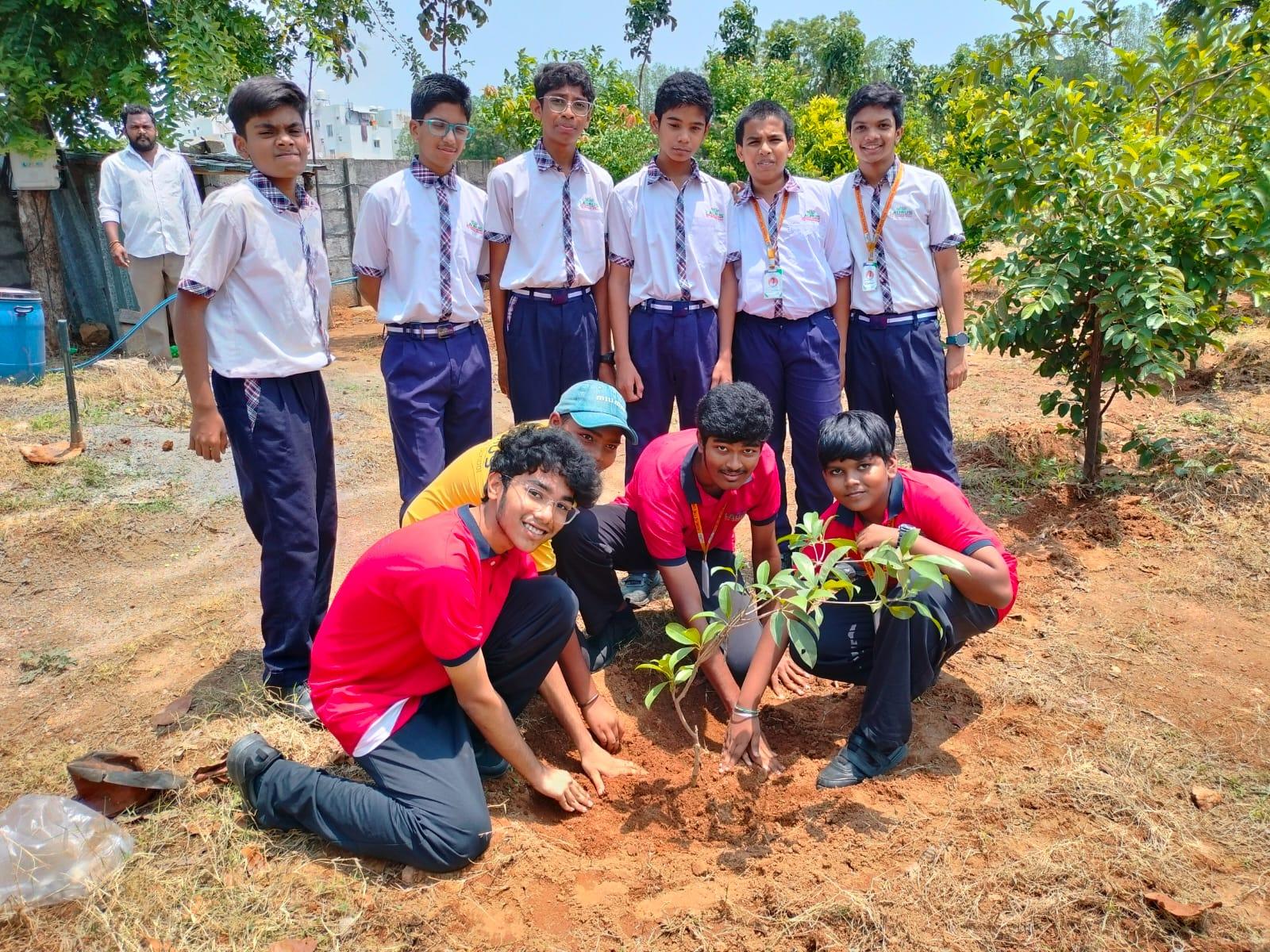Laurus students planting saplings on campus