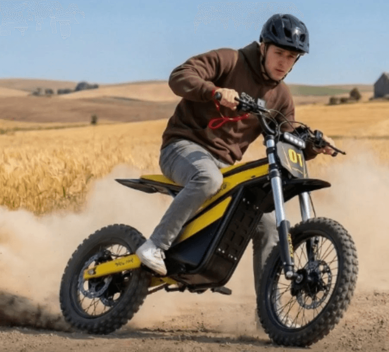 HEYBIKE villain E bike