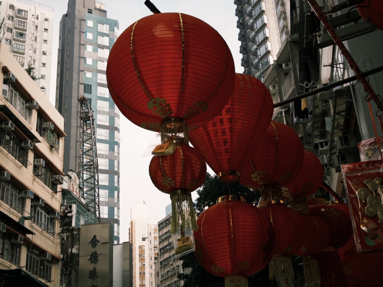 traditional red lantern hanging the modern city