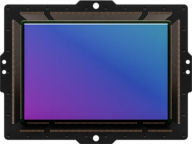 A digital camera sensor