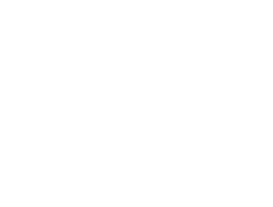 VAI logo.