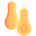 Zucca