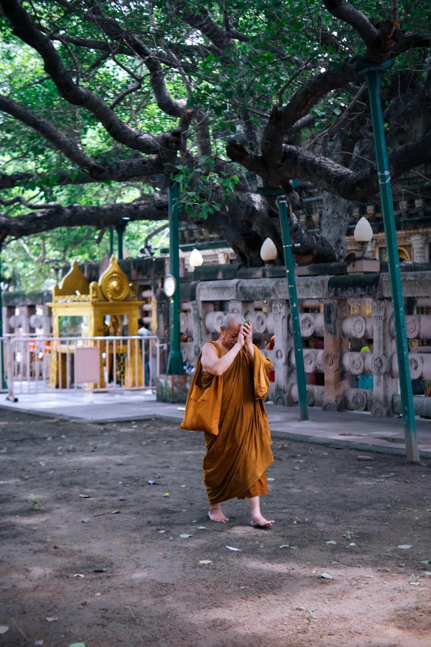 Image 11