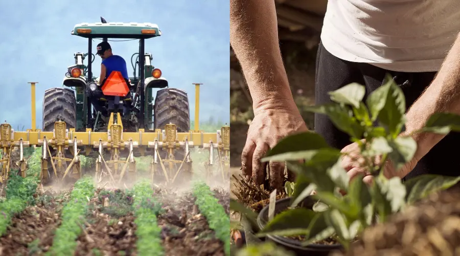 Contrasto tra agricoltura meccanizzata e contatto diretto con la terra, relazione tra uomo e natura e perdita di connessione naturale