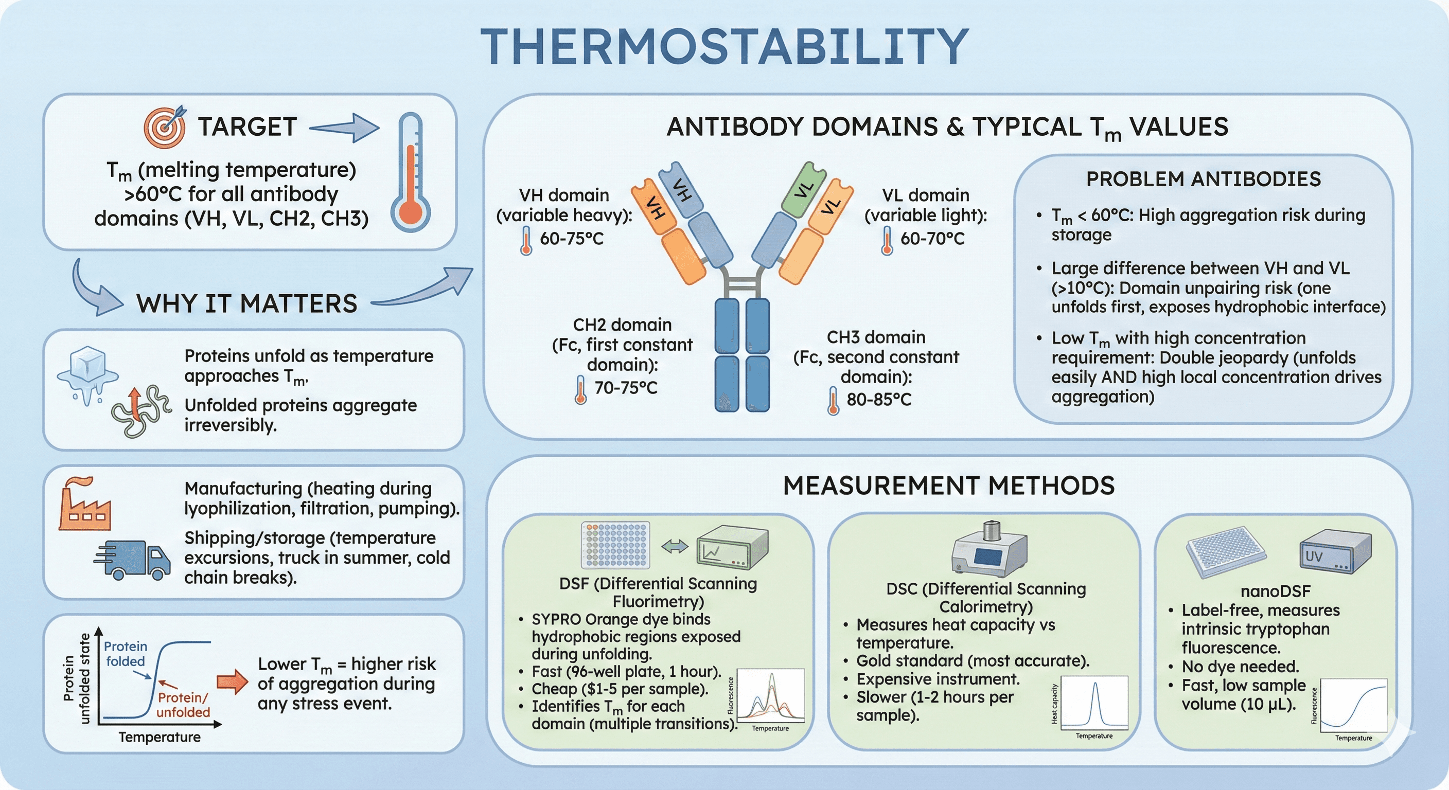 Diagram Showcasing Thermostability for Antibodies