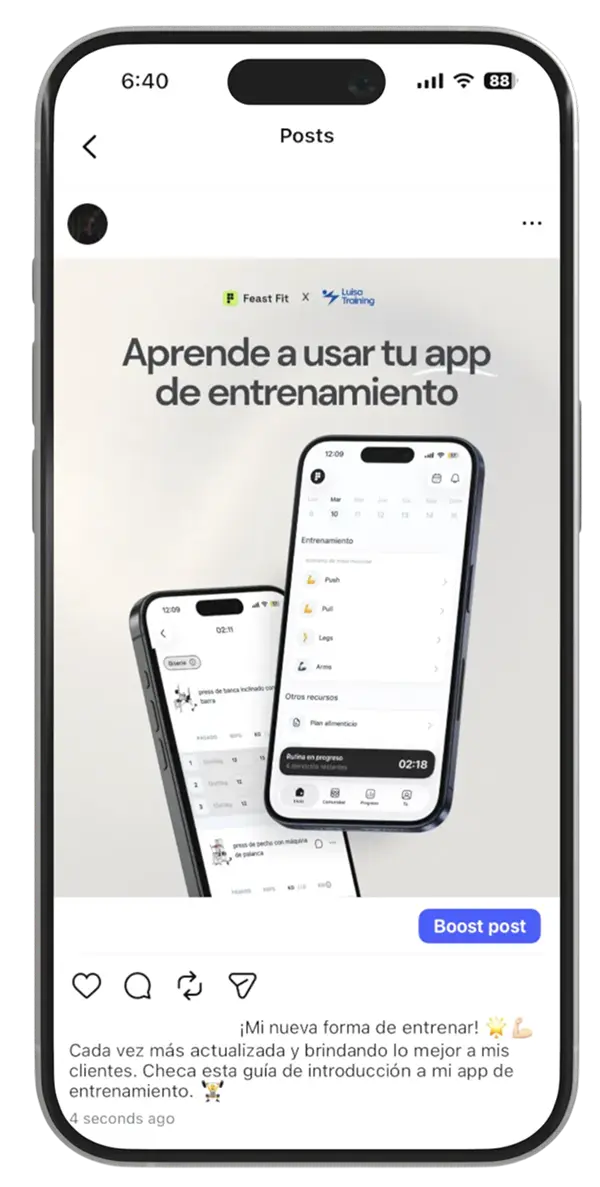 Feast Fit guía de uso asset