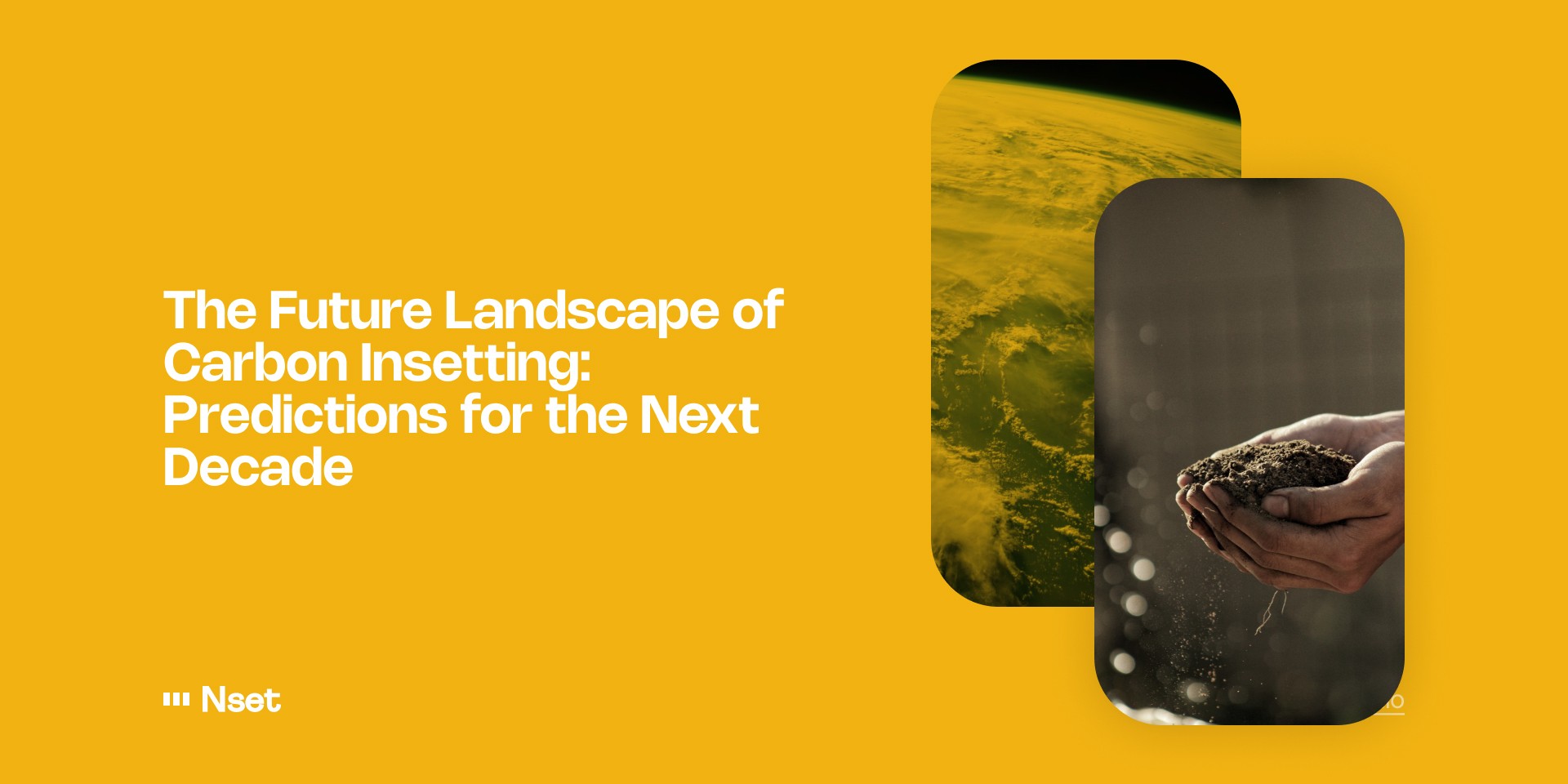 Future of Carbon Insetting