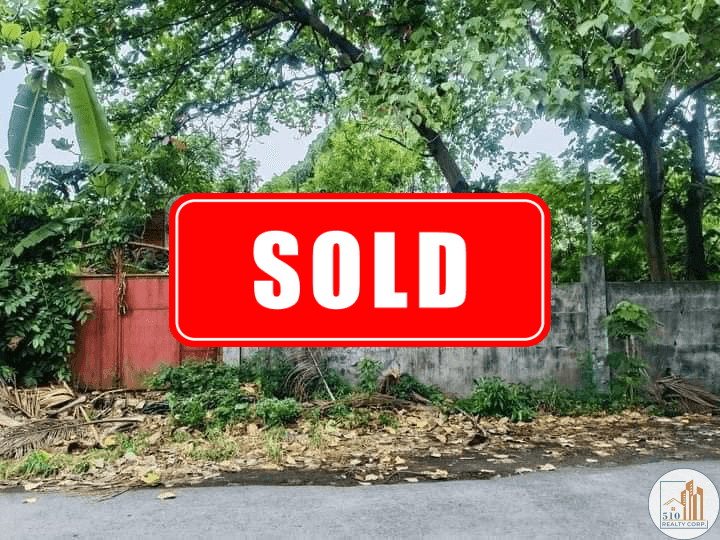 Sold - Commercial lot in Juna Subdivision davao city