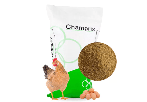 Champrix concentre pondeuse 20%