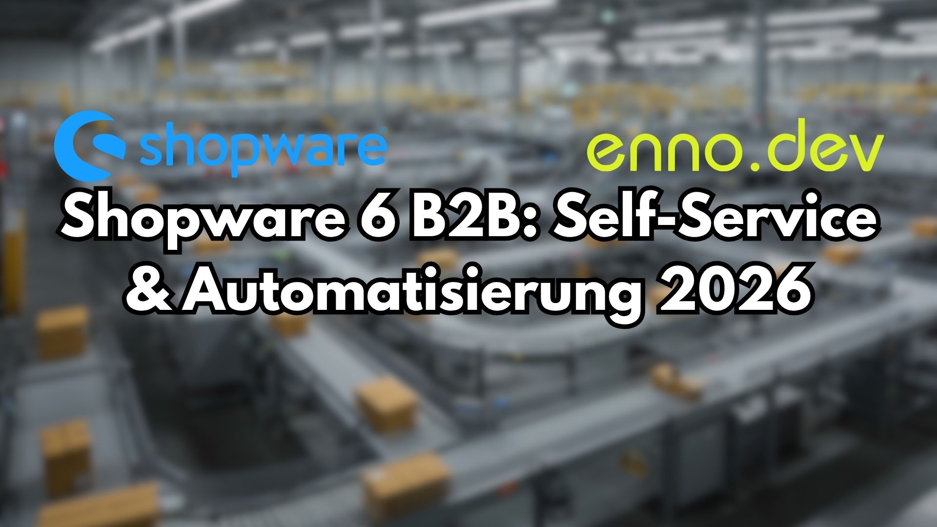 Digitale B2B-Einkaufsplattform mit Shopware 6 und Self-Service Funktionen
