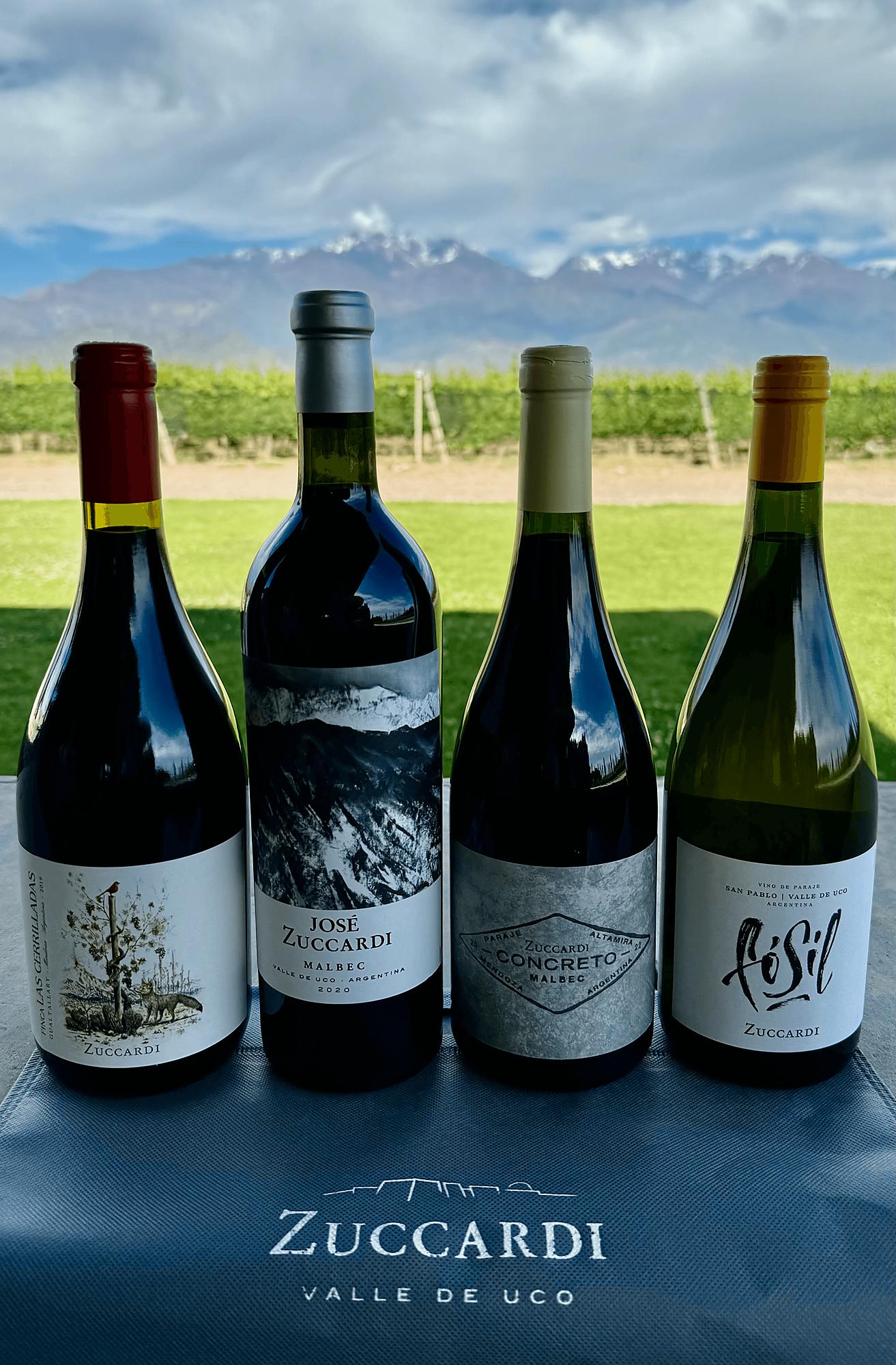 Bottles of Zuccardi Finca Las Cerrilladas, José Zuccardi Malbec, Concreto Malbec, and Fósil Chardonnay overlooking vineyards and the Andes