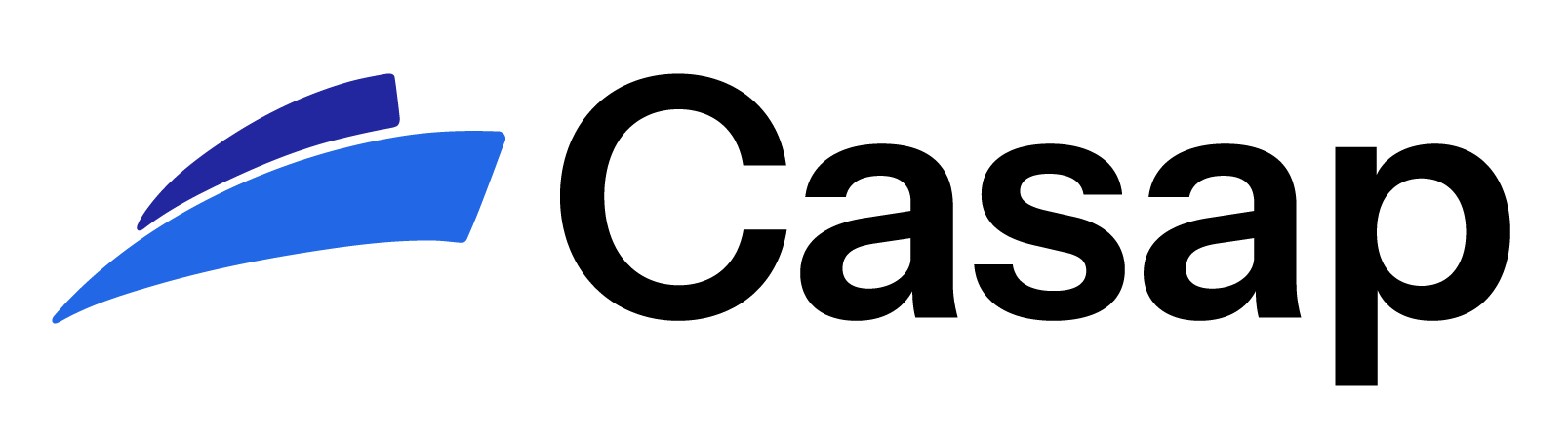 Visa Logo