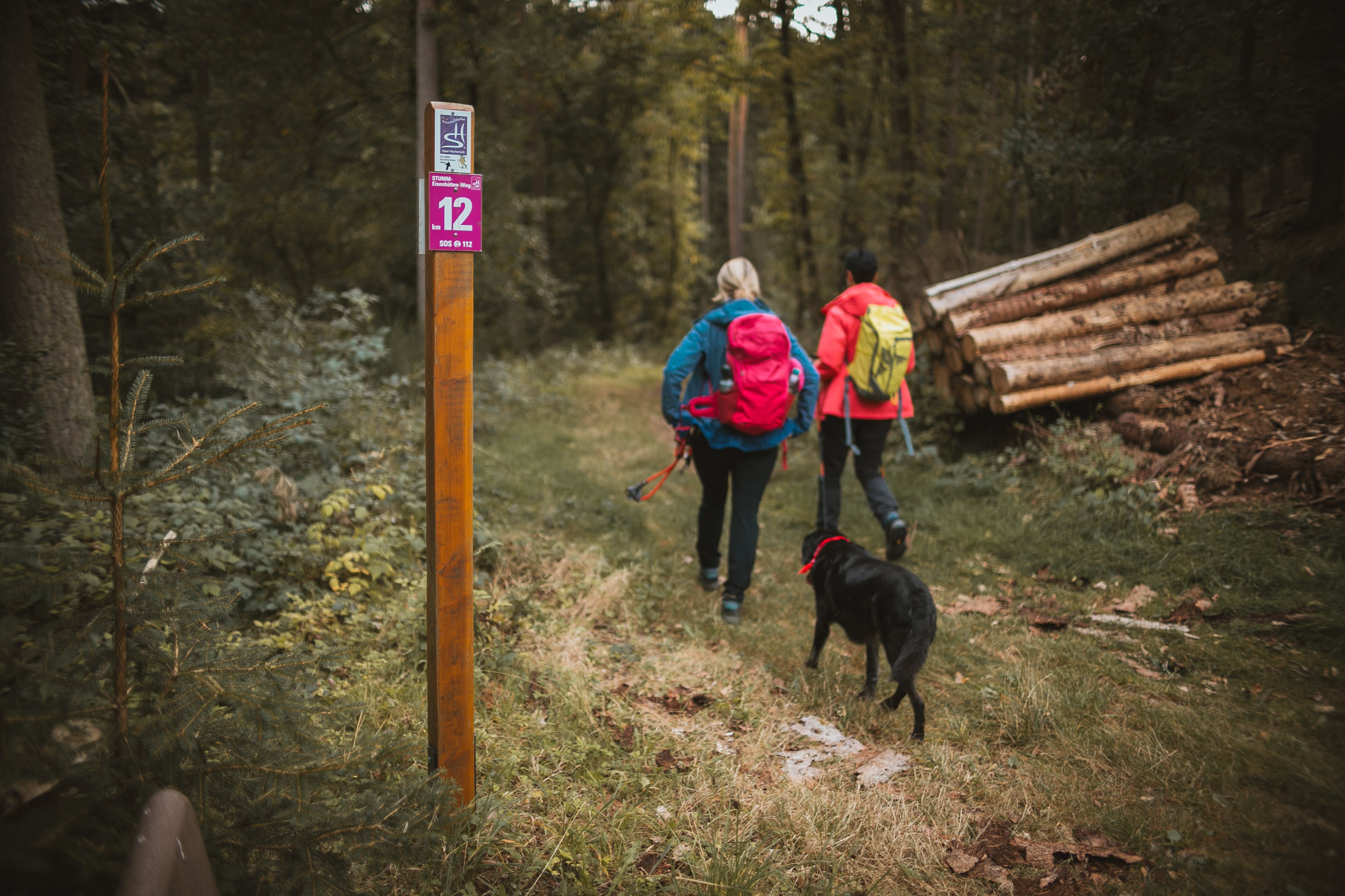 two women hiking with a dog on the Stumm Eisenhüttenweg