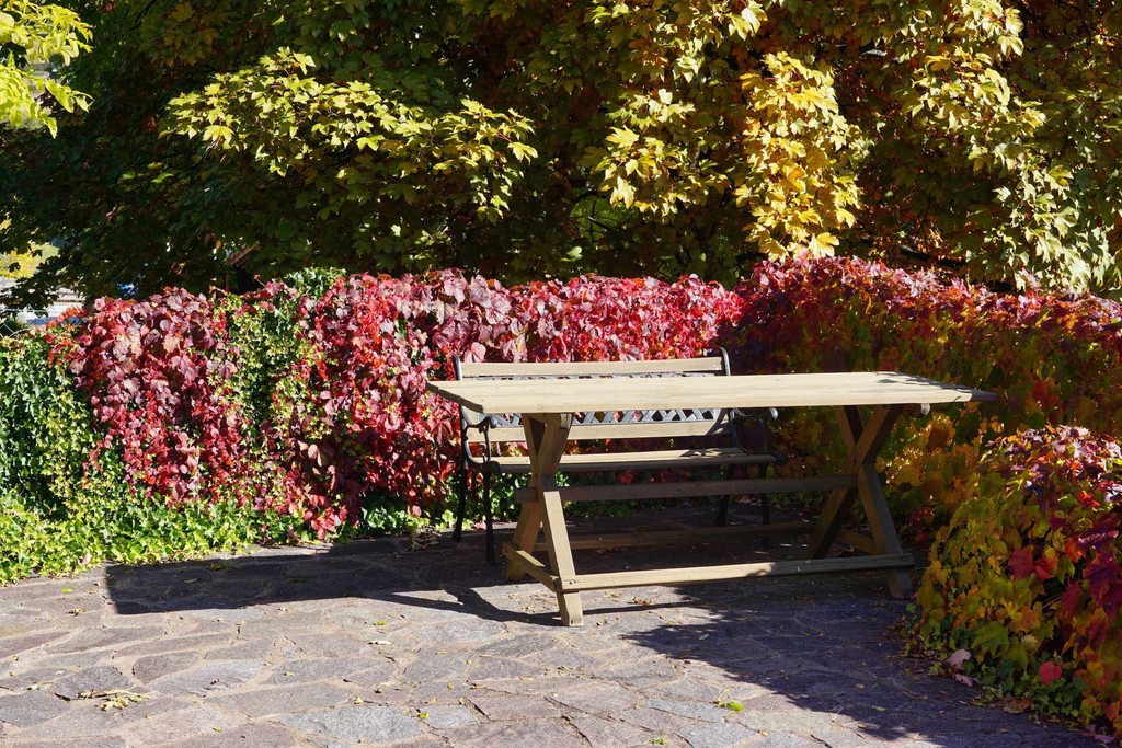 A table with a bench in the garden of the house