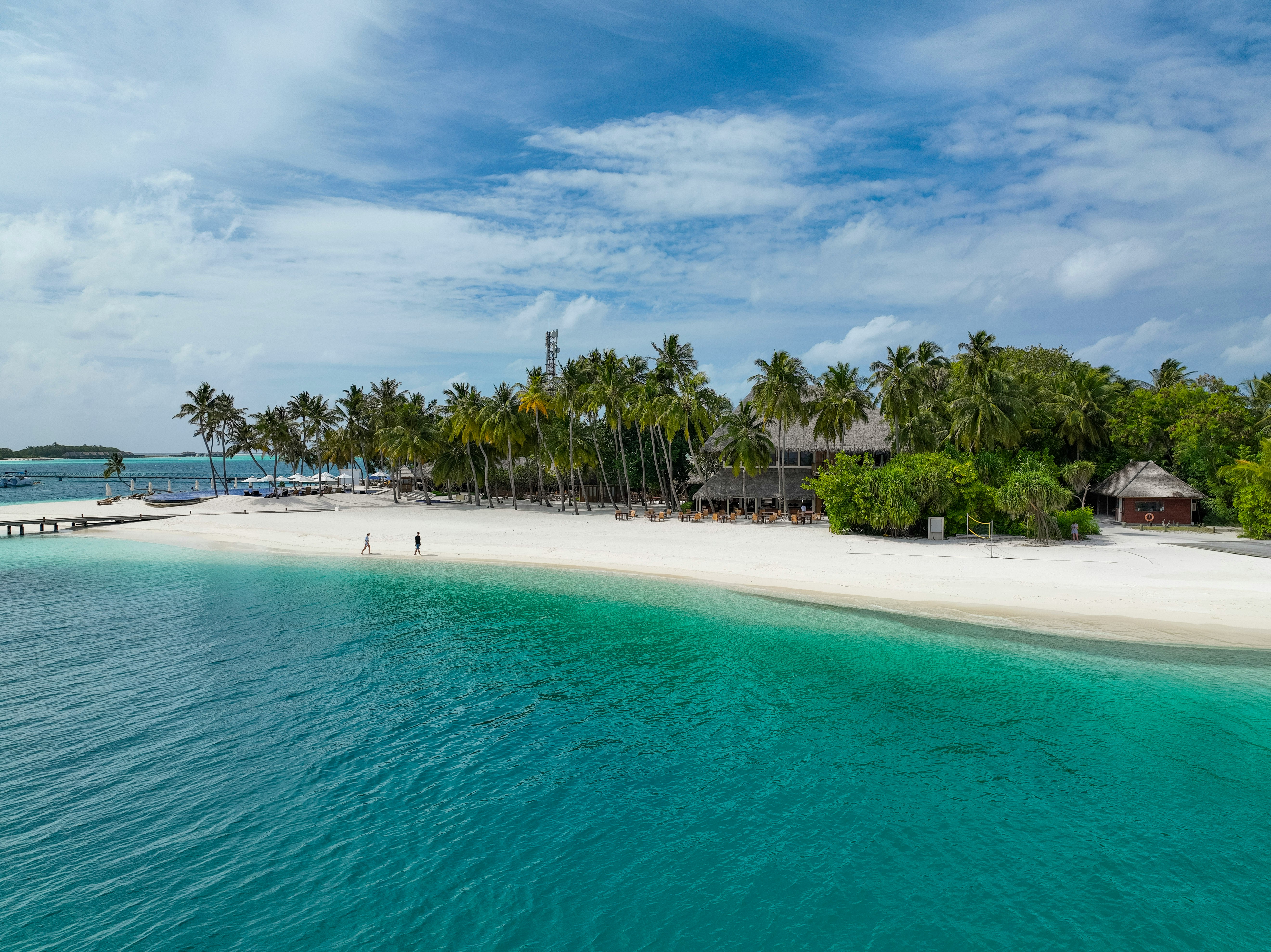 a white sandy beach surrounded by palm trees