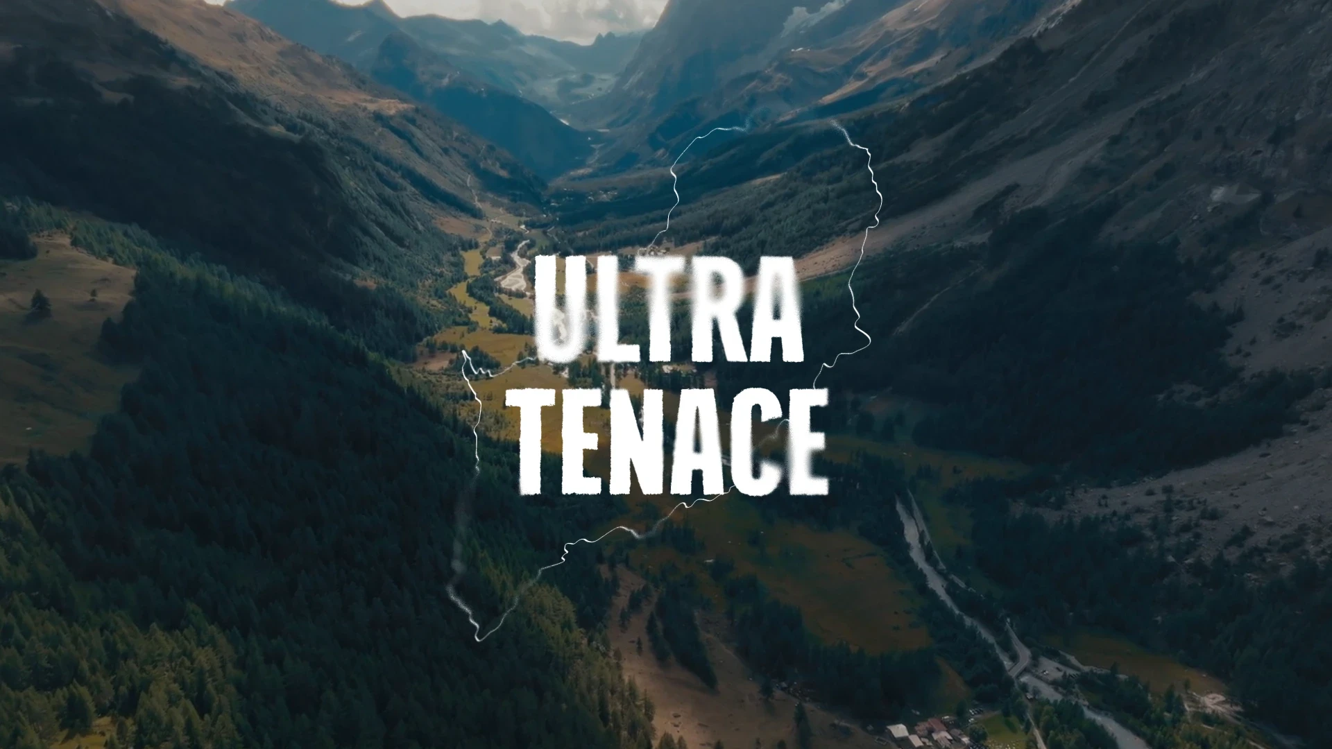 Ultra Tenace - expone studio