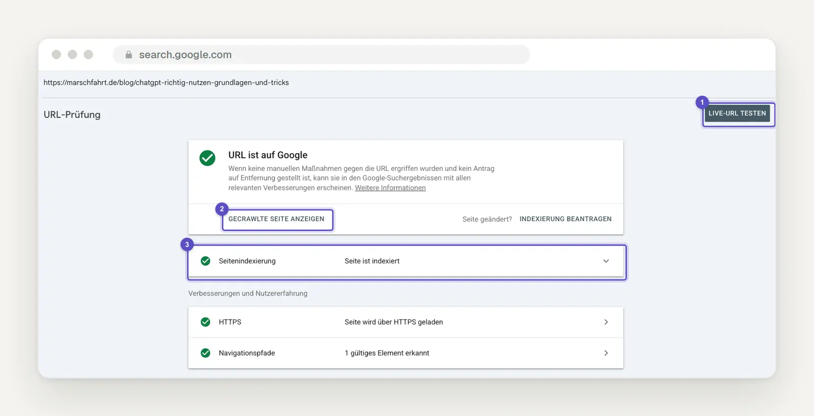 Results of the URL check in Search Console, showing the highlighted buttons "Test Live URL," "View Crawled Page," and the "Page Indexing" section.