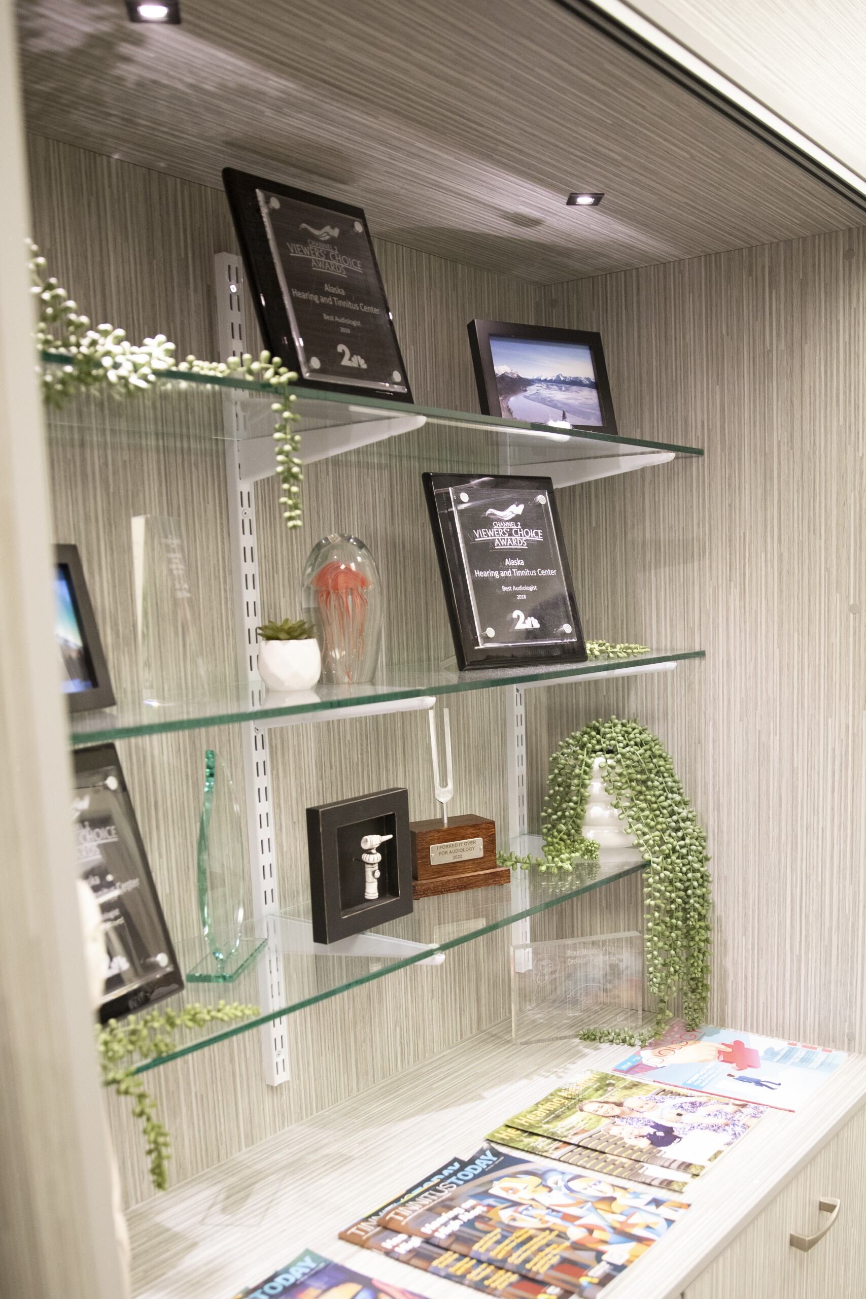 A close-up of a person receiving an ear cleaning, with hands gently handling their ear.