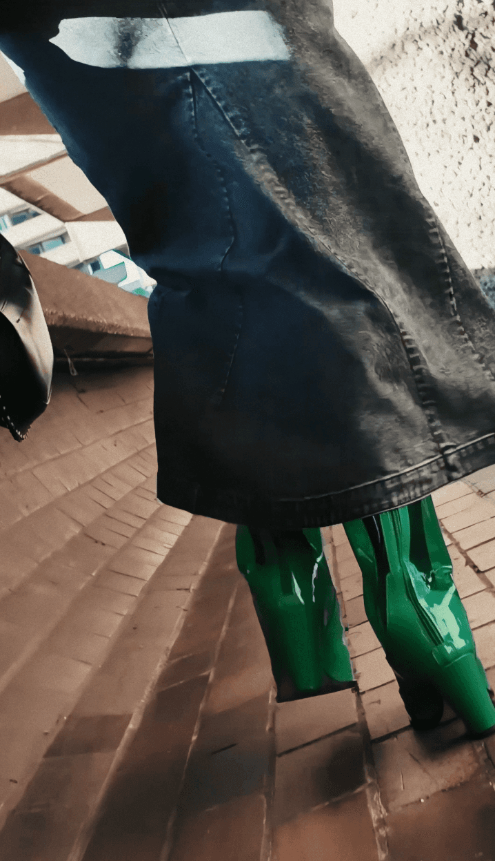 Shiba Inu dog walking on leaf-covered ground