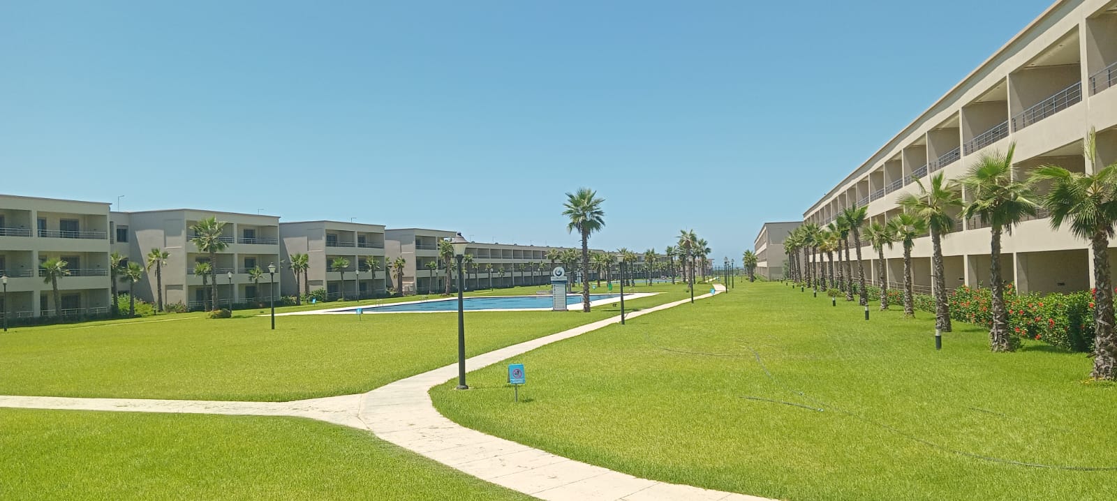 Image representing a completed garden project