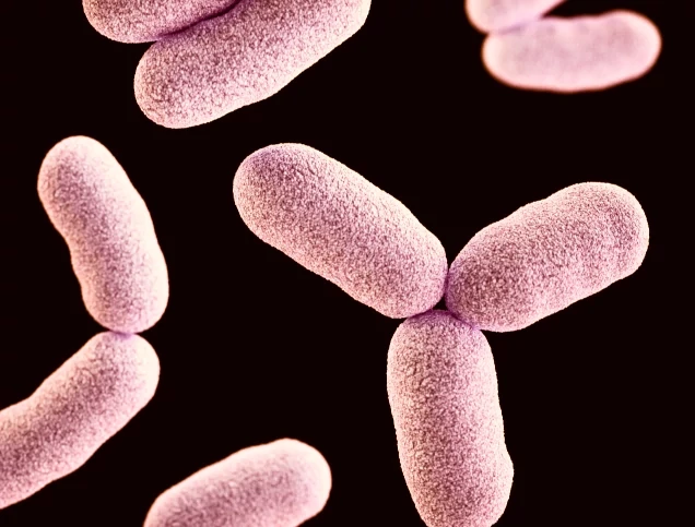 Micriobes of the microbiome