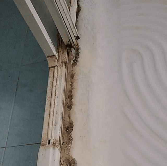 box doccia acrilico con muffa