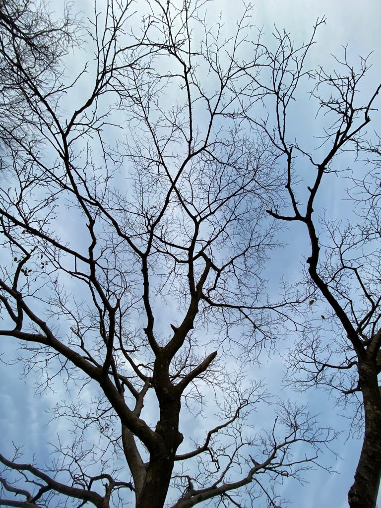 Travel and nature photography by Shashank Katariya
