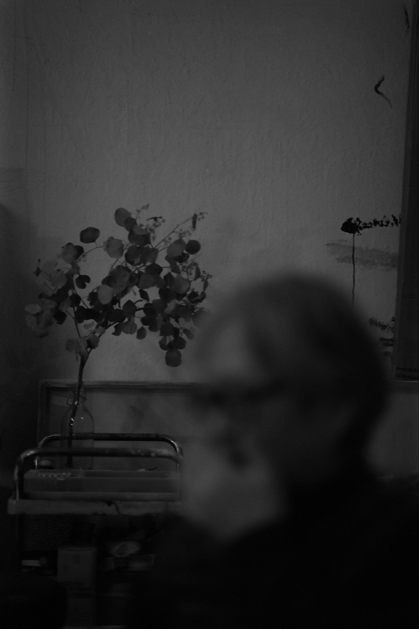 Taisei Matsumoto, archive random photograph 077