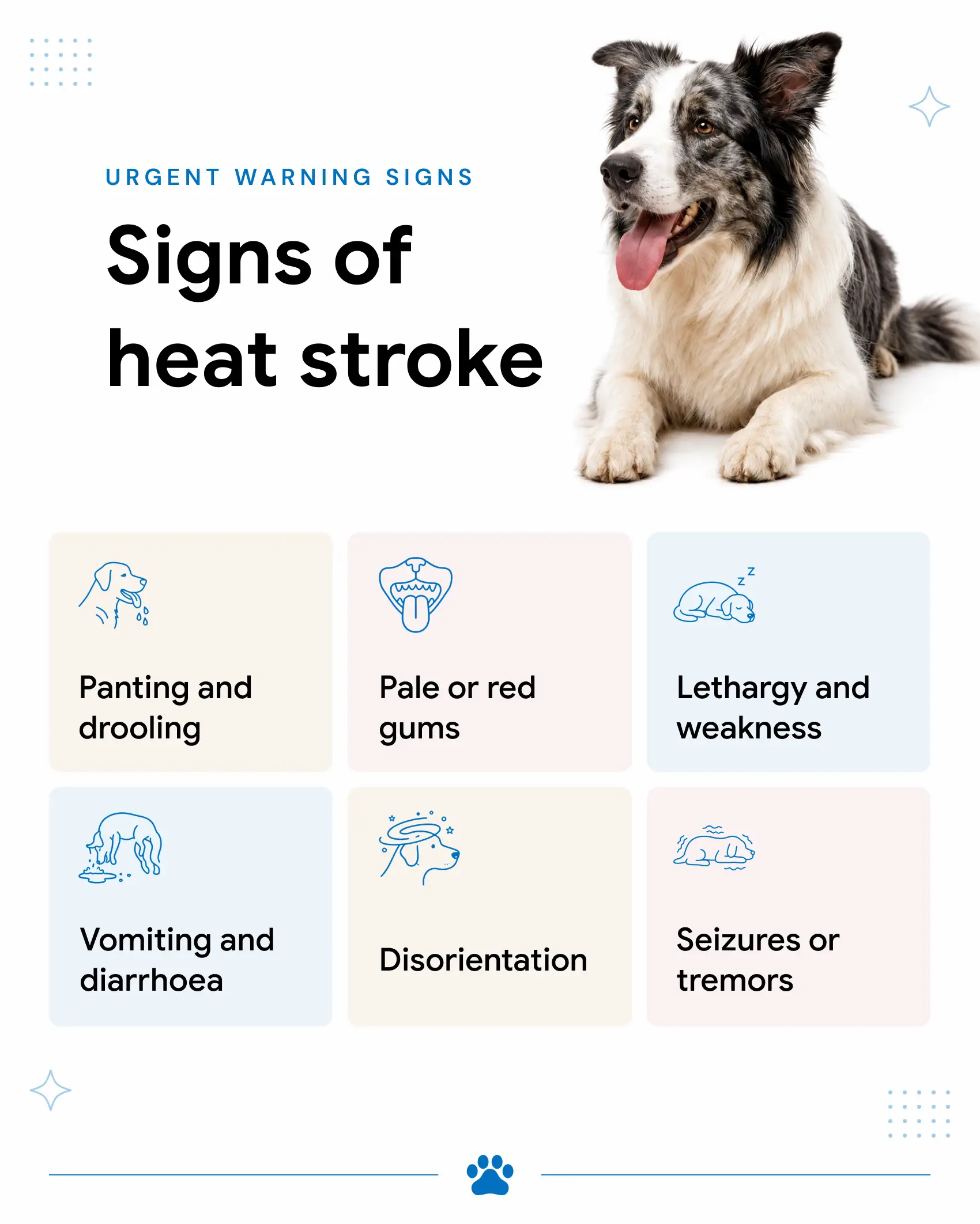 An infographic showing the signs of heat stroke in dogs.