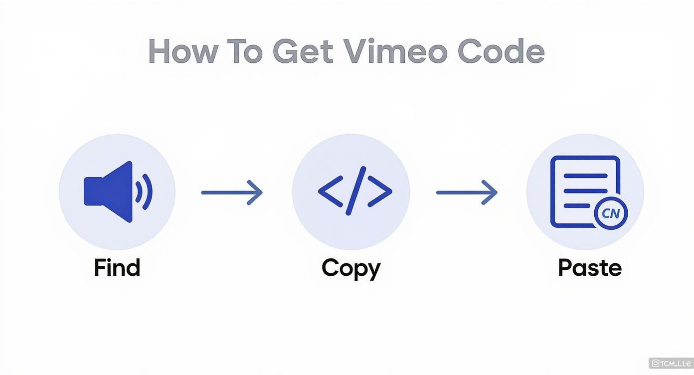 Infographic about embed code vimeo