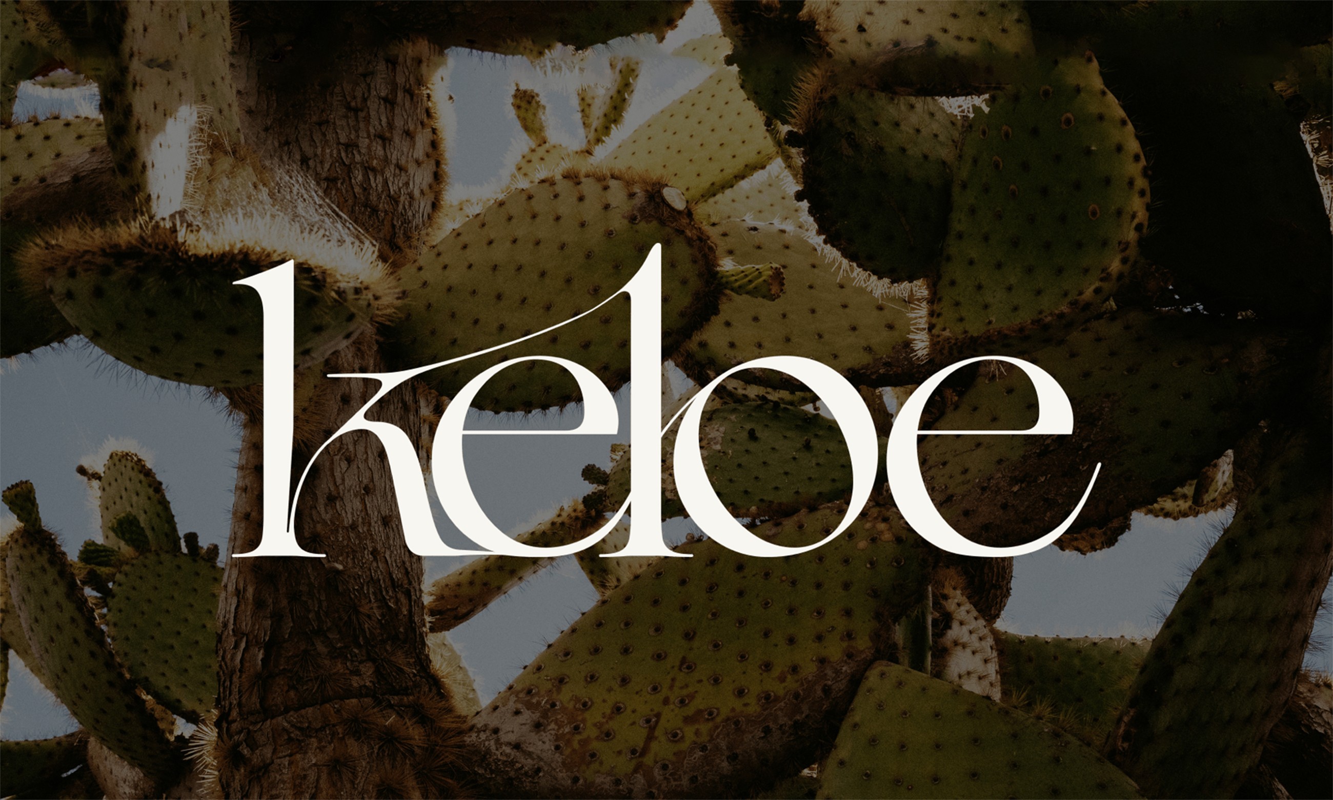 Keloe | Branding & Web Design