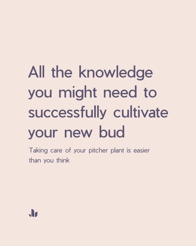 Brand assets usage for plant nursery