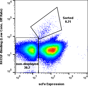 EGF yeast display FACS R4 flow plot with non-displayed and sorted gates