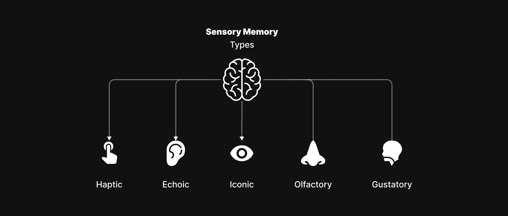 Sensory memory Types